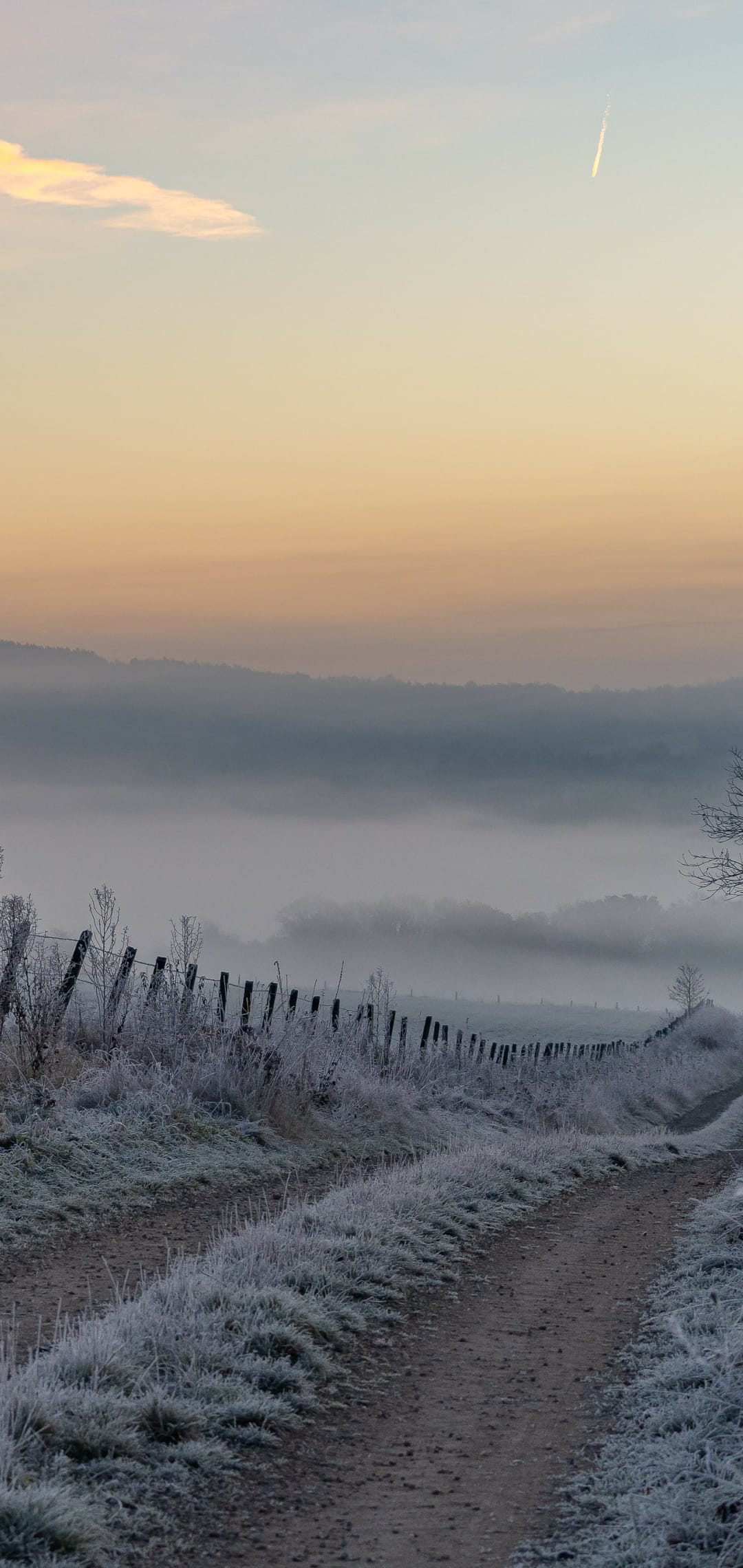 Hoarfrost-covered dirt path and wire fence leading toward misty hills under a pale orange sunrise sky.