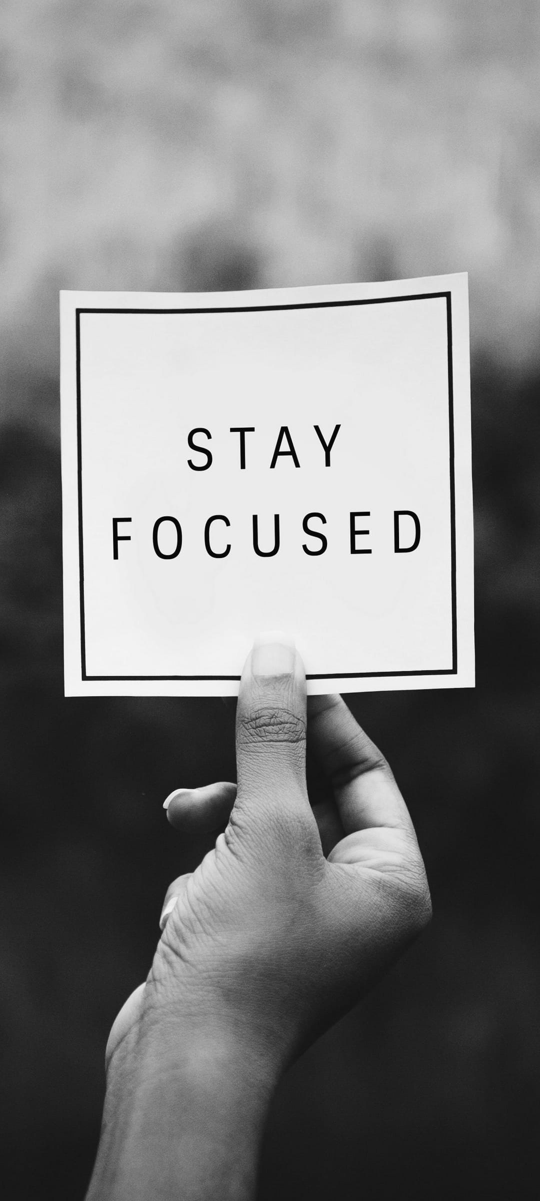 Human hand holds a white sign reading STAY FOCUSED in bold black font against a blurred monochrome background.