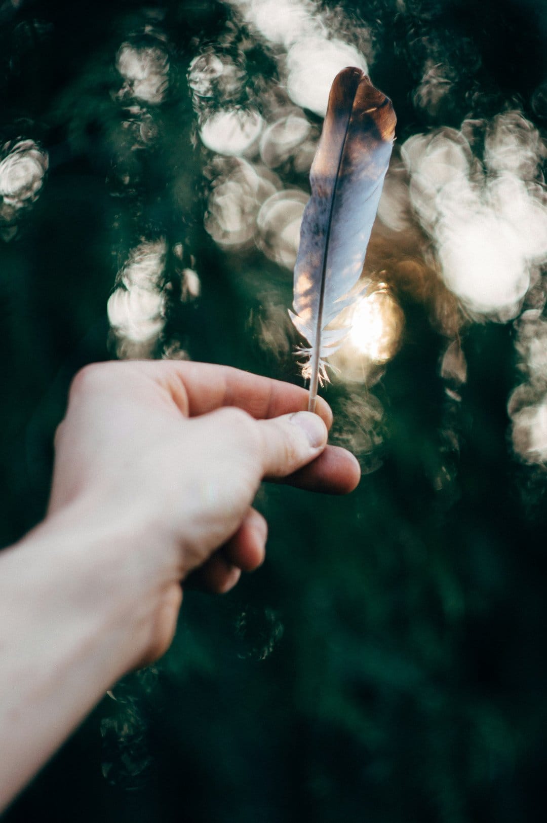 Hand holding a soft blue and brown feather against a background of blurred green foliage and golden bokeh lights.