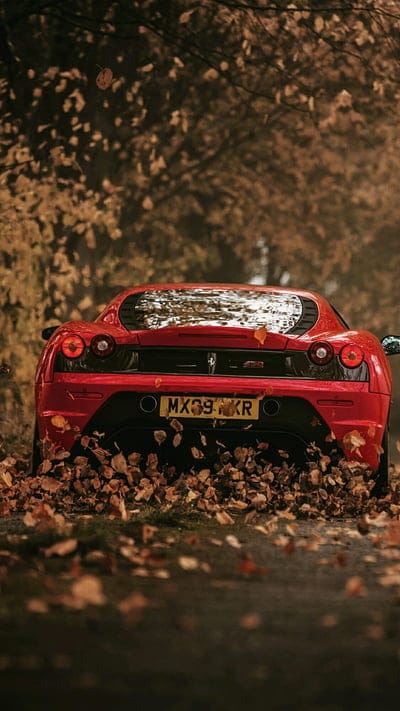 Red Ferrari, car, esports, mobile wallpaper, android wallpaper, iPhone wallpaper, phone wallpaper