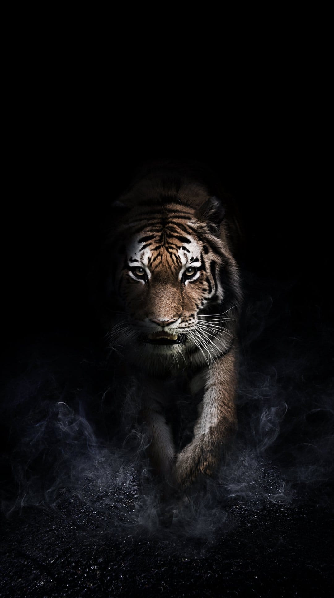 Tiger with glowing orange eyes peers through thick grey smoke against a black backdrop in a vertical portrait.