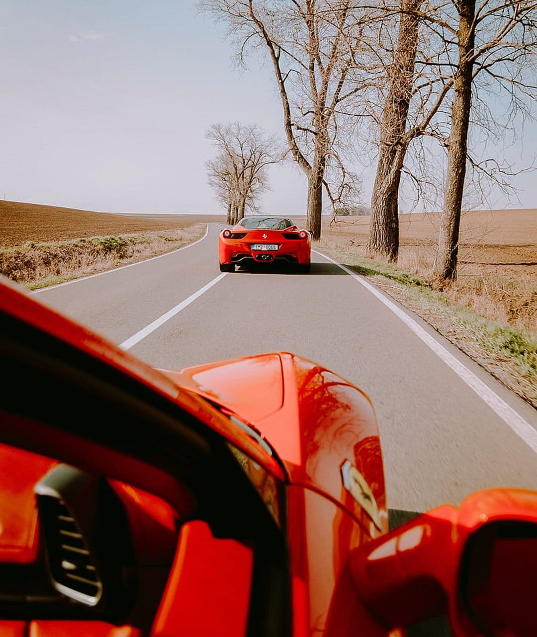 Two red Ferraris race on a paved road bordered by bare autumn trees under a clear pale blue sky.