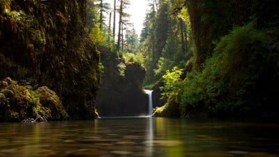 Crystalline waterfall cascading into a clear river between mossy cliffs under a sunlit forest canopy.