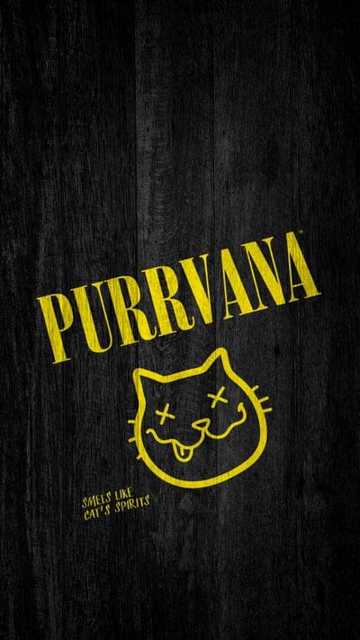 nirvana,parody,cat,inscription,music