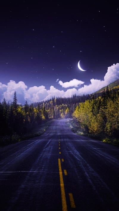 road,forest,moon,night,landscape