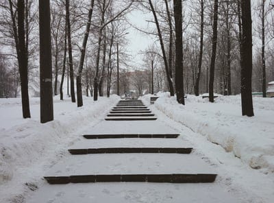 Forest stair  wallpaper,Forest stair,forest,woods