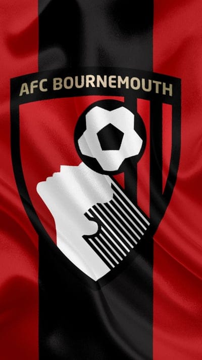 Bournemouth, football club, Premier League, football, United Kingdom, England, flag, emblem, Bournemouth logo, English football club