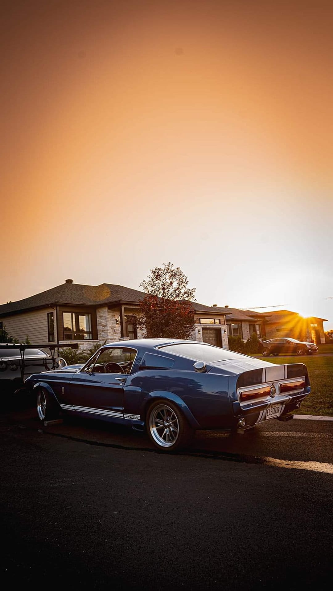 Blue Shelby GT500 Mustang parked on a driveway in front of modern houses during a golden hour sunset scene.