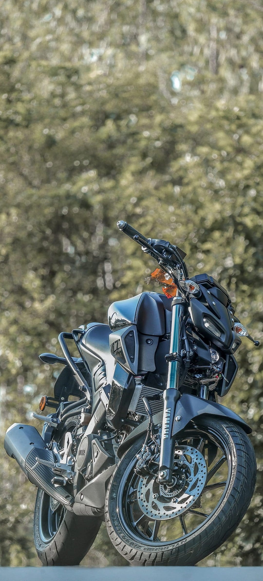 Black Yamaha MT-15 motorcycle on a scenic asphalt road with a soft-focus forest background and green leaves.