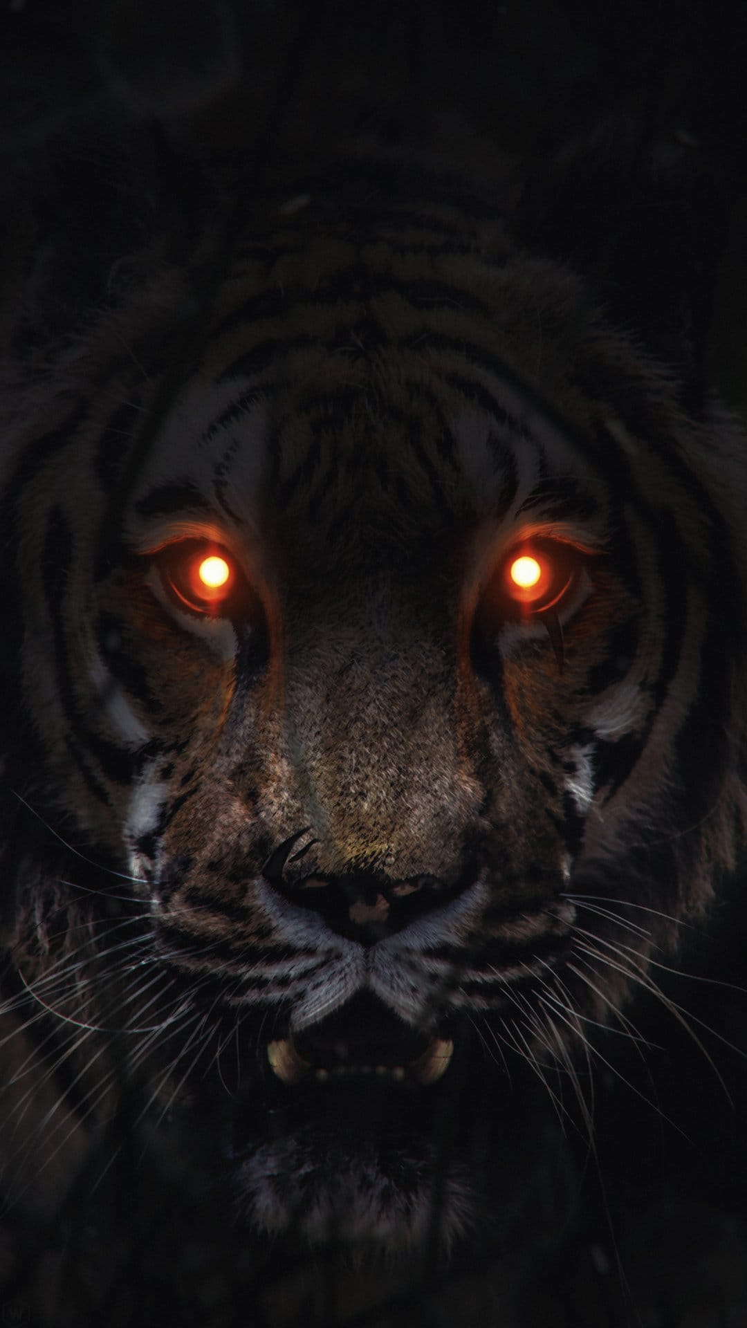 Tiger's face with glowing orange eyes peering out from dark shadows in a close-up animal portrait.