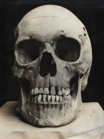 Smiling skull wallpaper,Smiling skull,Smiling skull background,skull wallpaper