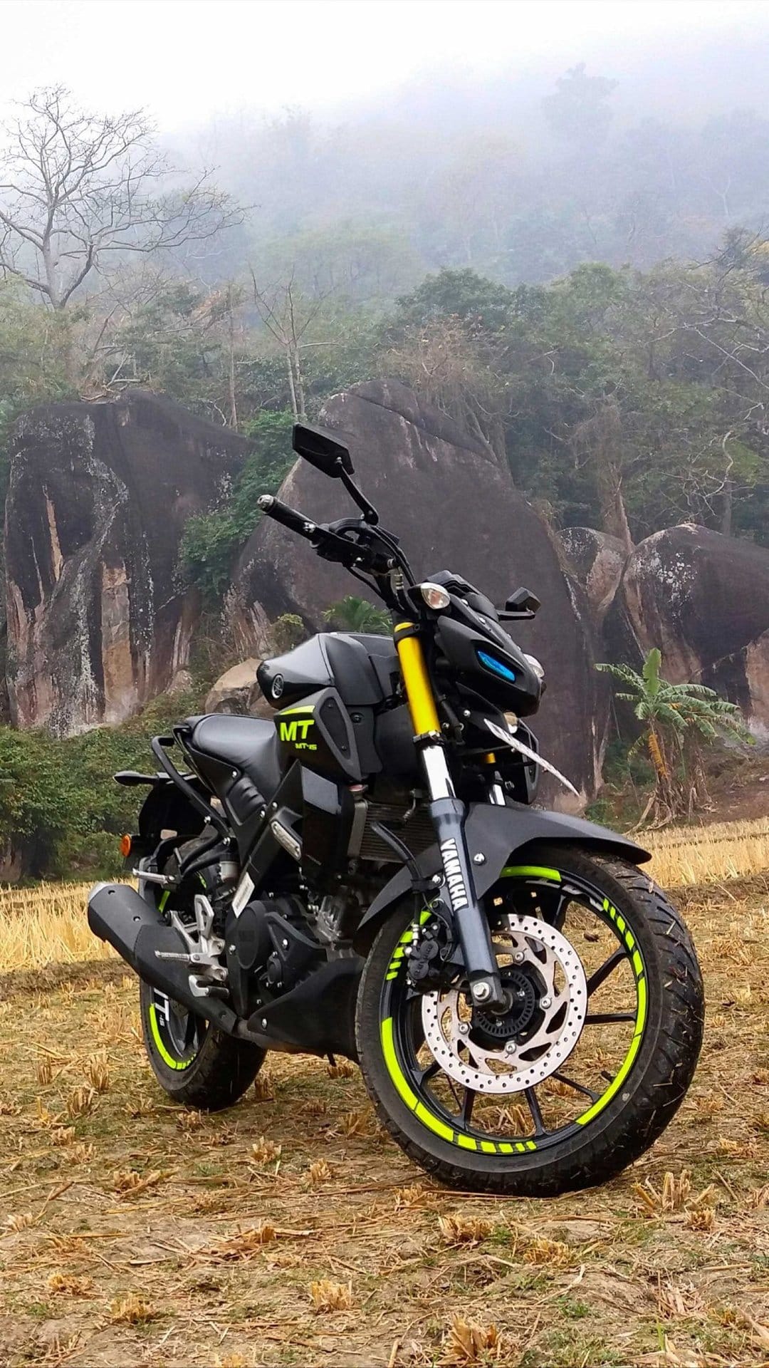 Black Yamaha MT-15 motorcycle with yellow accents parked in a foggy field with large rocks and misty trees.