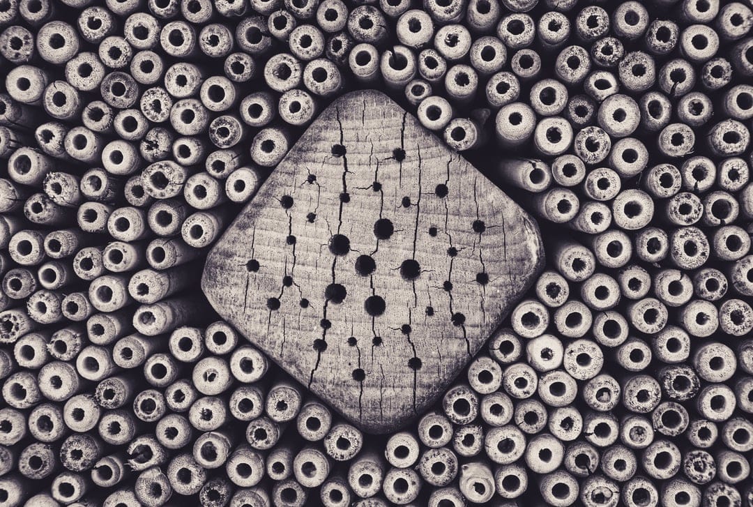 Cardano ADA logo on a cracked wood square surrounded by numerous small circular beads in black and white.
