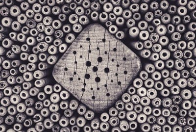 wood,wallpaper HD,Windows wallpaper,insect hotel,4K wallpaper,HD wallpaper,holes,mac wallpaper,cool backgrounds,texture,desktop backgrounds,free background,wallpaper 4K,laptop wallpaper,beautiful wallpaper,full HD wallpaper,free wallpaper,wallpaper,backgr