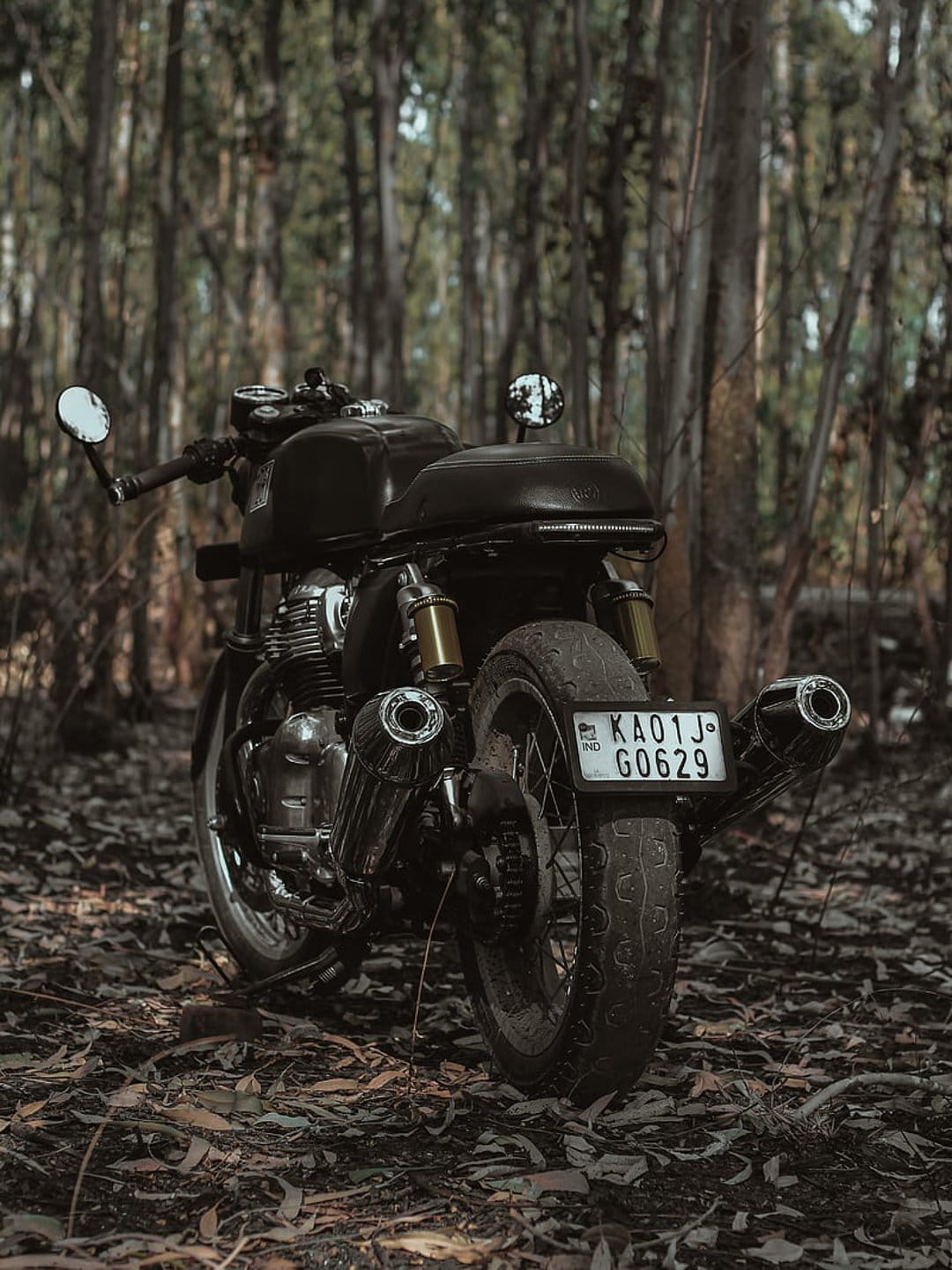 Vintage motorcycle with chrome exhaust parked on fallen brown leaves in a dark, misty forest with tall trees.