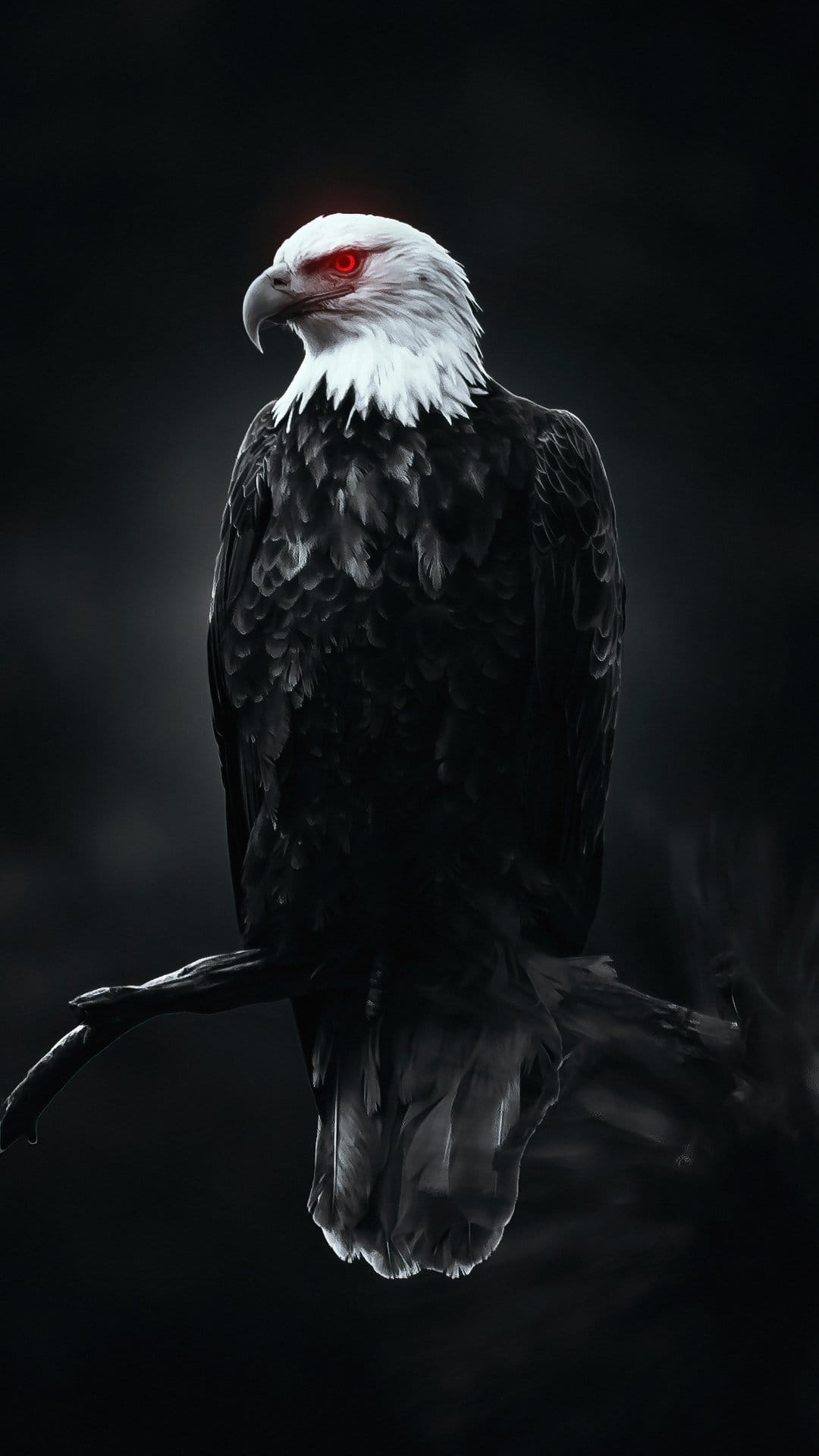 Bald eagle with white head feathers and glowing red eyes perches on a dark branch against a black background.