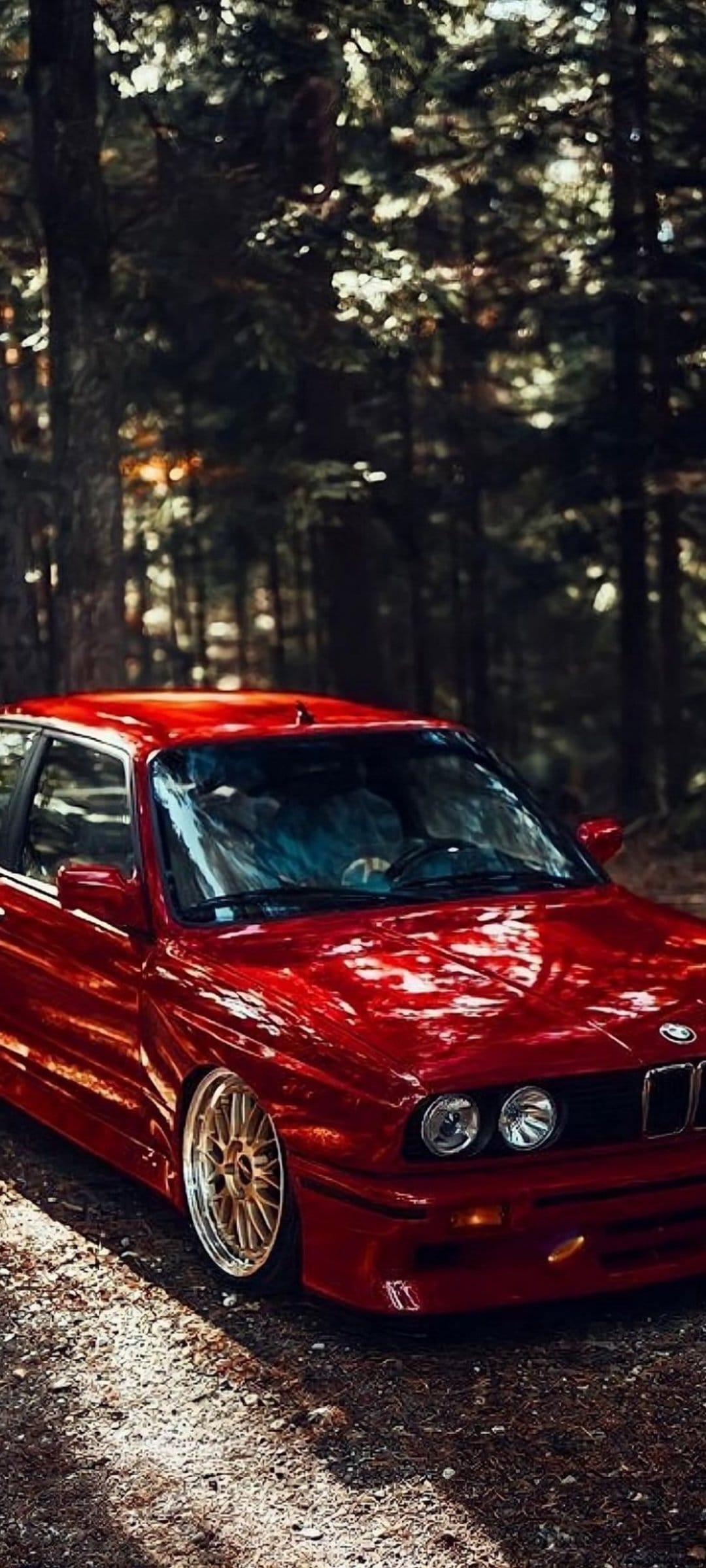Red BMW M3 E30 parked on a dirt path in a dark forest with dappled sunlight filtering through the dense canopy.