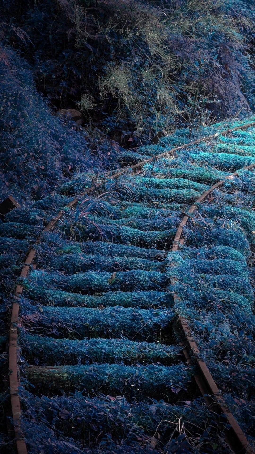 Abandoned train tracks covered in teal moss and lush vines stretching deep into a quiet, foggy woodland setting.