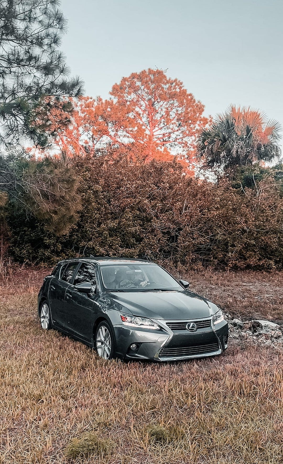 Lexus CT hatchback parked in a dry grassy meadow with dense autumn trees and a clear blue sky in the background.