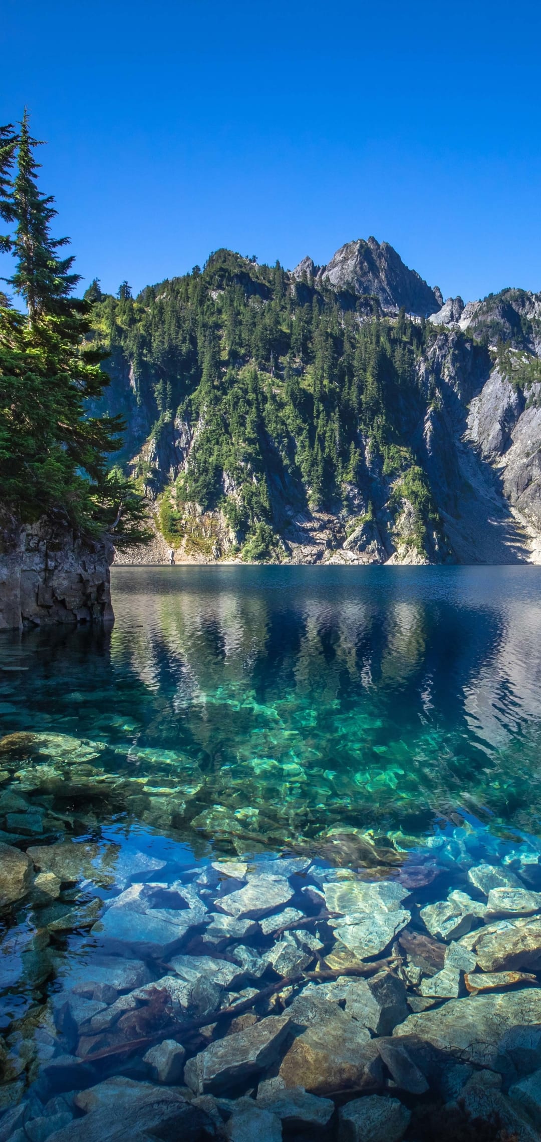 Turquoise mountain lake shows a rocky bottom and evergreen forests under a blue sky in a vertical nature scene.