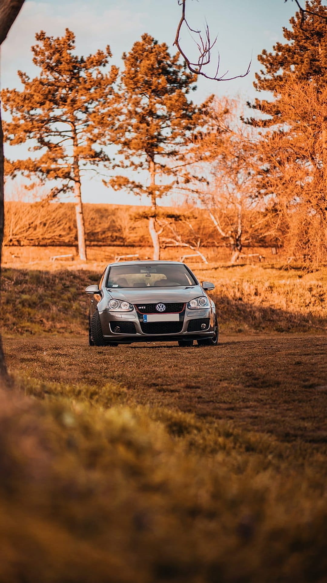 Silver Volkswagen GTI parked in a grassy field surrounded by vibrant orange and yellow autumn trees at low angle.