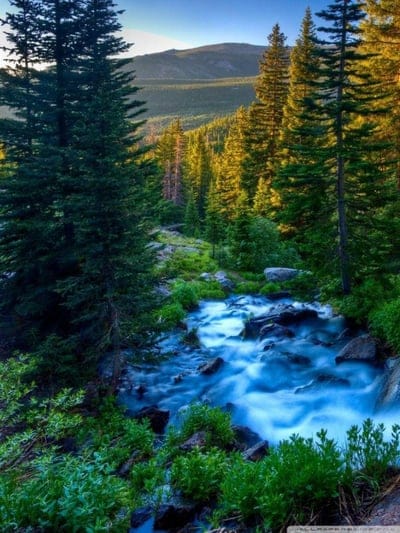 mountain stream, forest, sunset, nature, serene, outdoor, peaceful, natural beauty, flowing water, tranquil, green, vibrant, rocky, landscape, trees, clear water, picturesque, light, wilderness, alpine