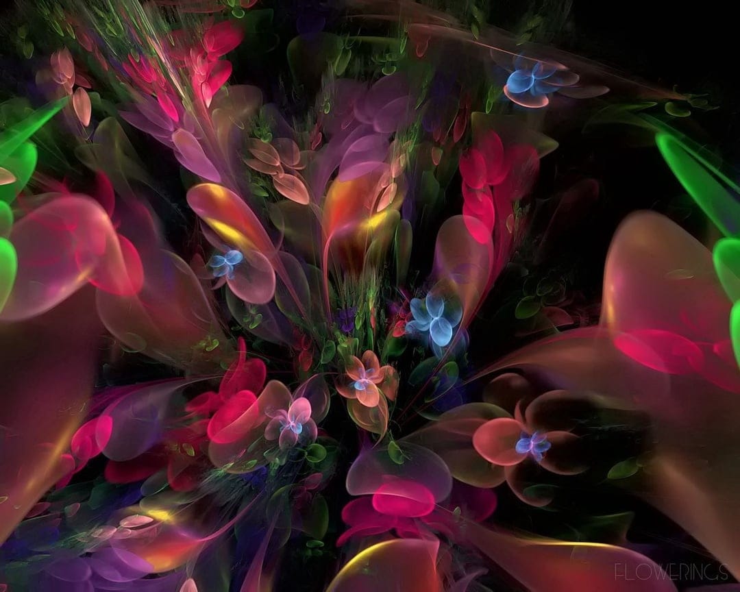 Neon pink and blue fractal flowers with intricate glowing petals and swirling stems on a dark background.