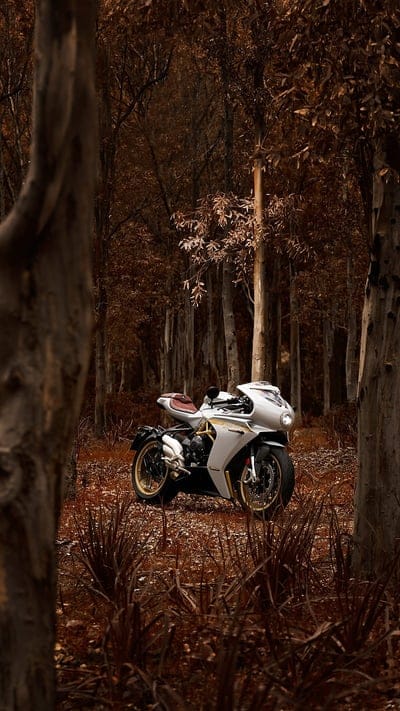 MV Agusta, motorcycle, motor, forest, white, , bike, mobile wallpaper, android wallpaper, iPhone wallpaper, phone wallpaper