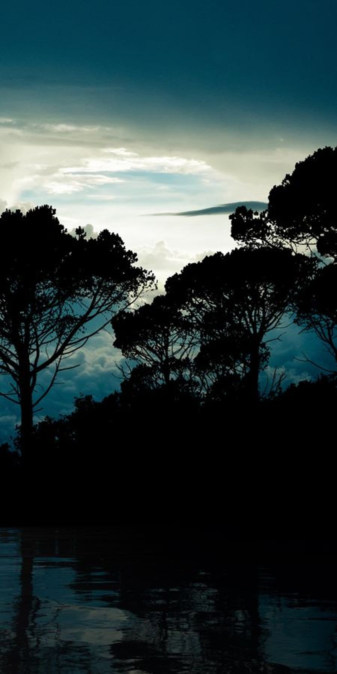 Tree silhouettes reflecting on a dark lake under a cloudy night sky with a moody, low-light atmosphere.