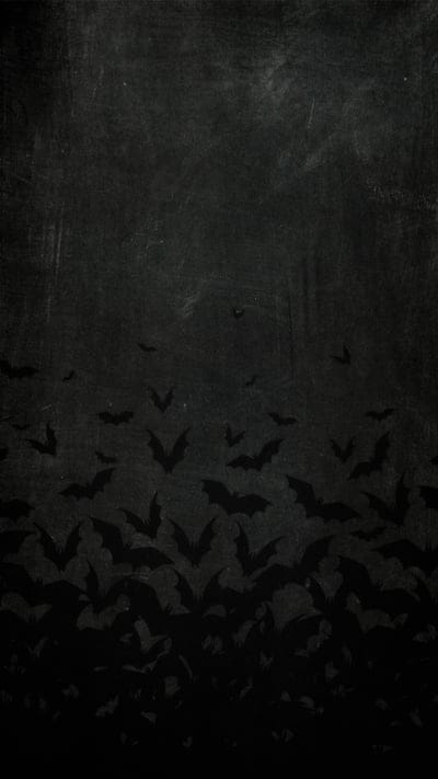 bat,wings,pattern,black,animal