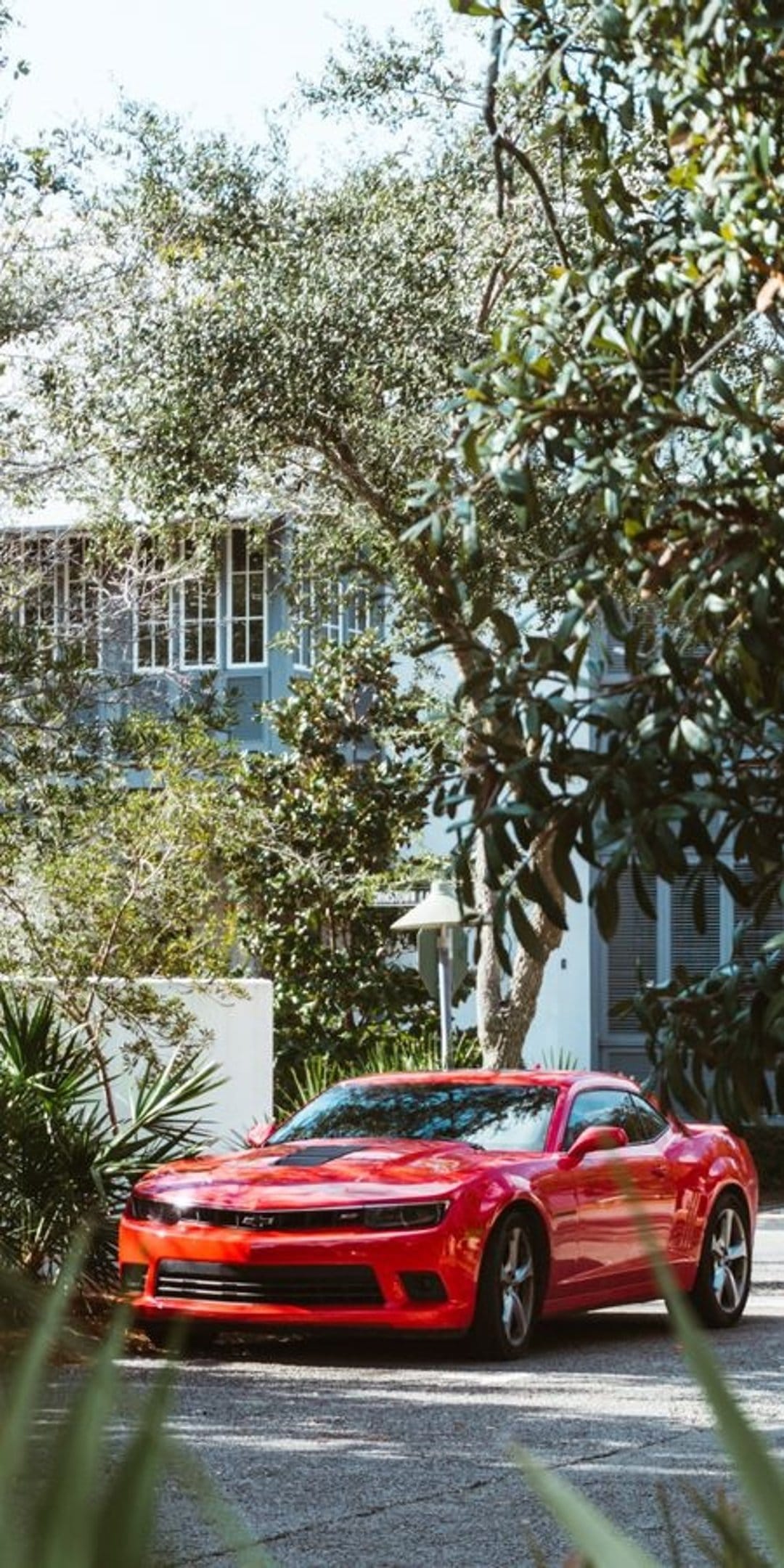 Red Chevrolet Camaro parked on an asphalt driveway beside a modern glass house with lush green garden trees.