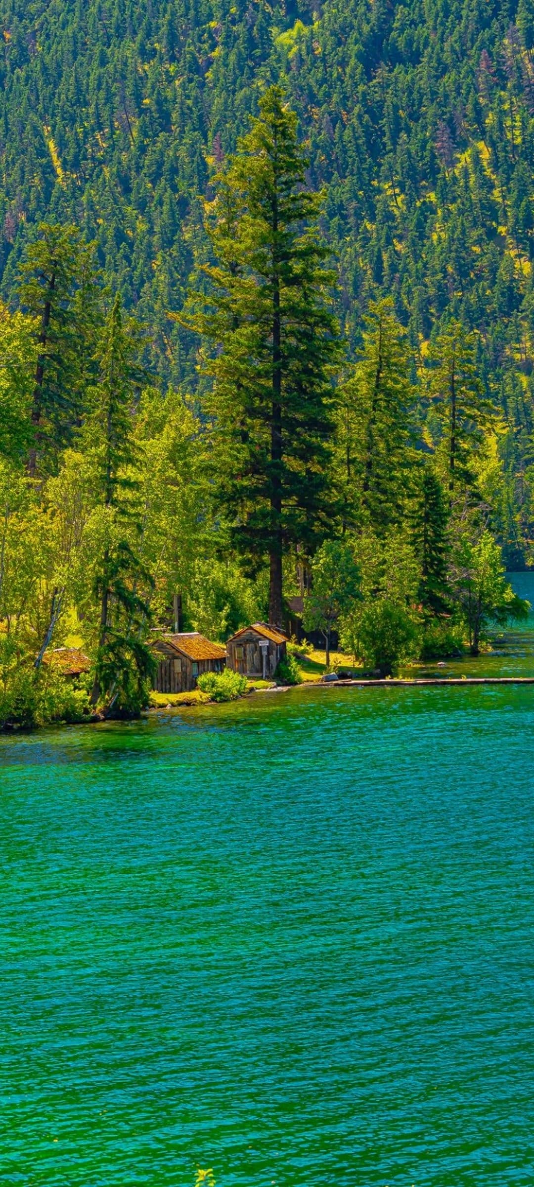 Rustic wooden cabins sit beside a clear emerald lake surrounded by tall pine trees in a mountain landscape.