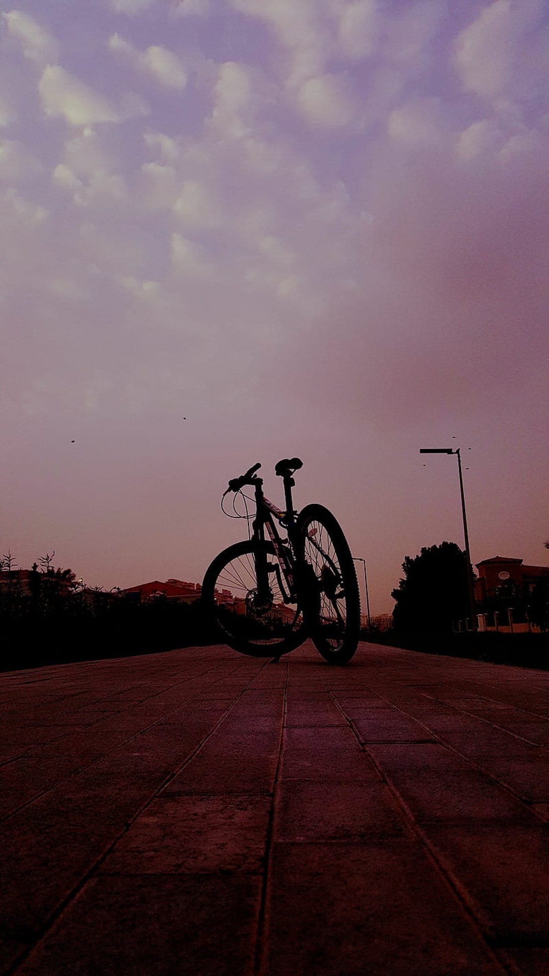 Bicycle silhouette on a textured paved path under a purple and pink sunset sky with scattered evening clouds.