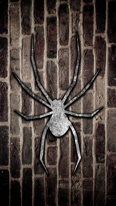 spider,wall,bricks,art