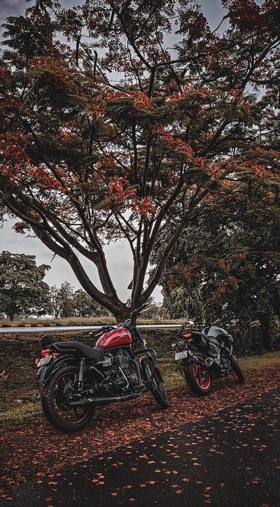 Bikes, bts, naruto, thunderbird, thunderbird 350x, yamaha, autum, mt15, royalenfield, bullet, highway, mobile wallpaper, android wallpaper, iPhone wallpaper, phone wallpaper
