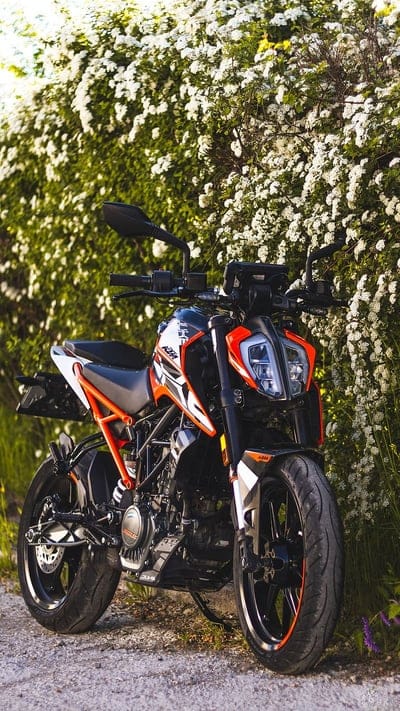 Duke 125, Flower Background, bike, mobile wallpaper, android wallpaper, iPhone wallpaper, phone wallpaper