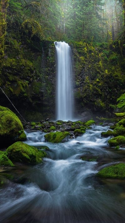 Waterfall, forest, nature, lush, green, serene, peaceful, tranquil, beautiful, outdoor, wilderness, moss, long exposure, vibrant, flowing water, untamed, pristine, natural, environment, calm