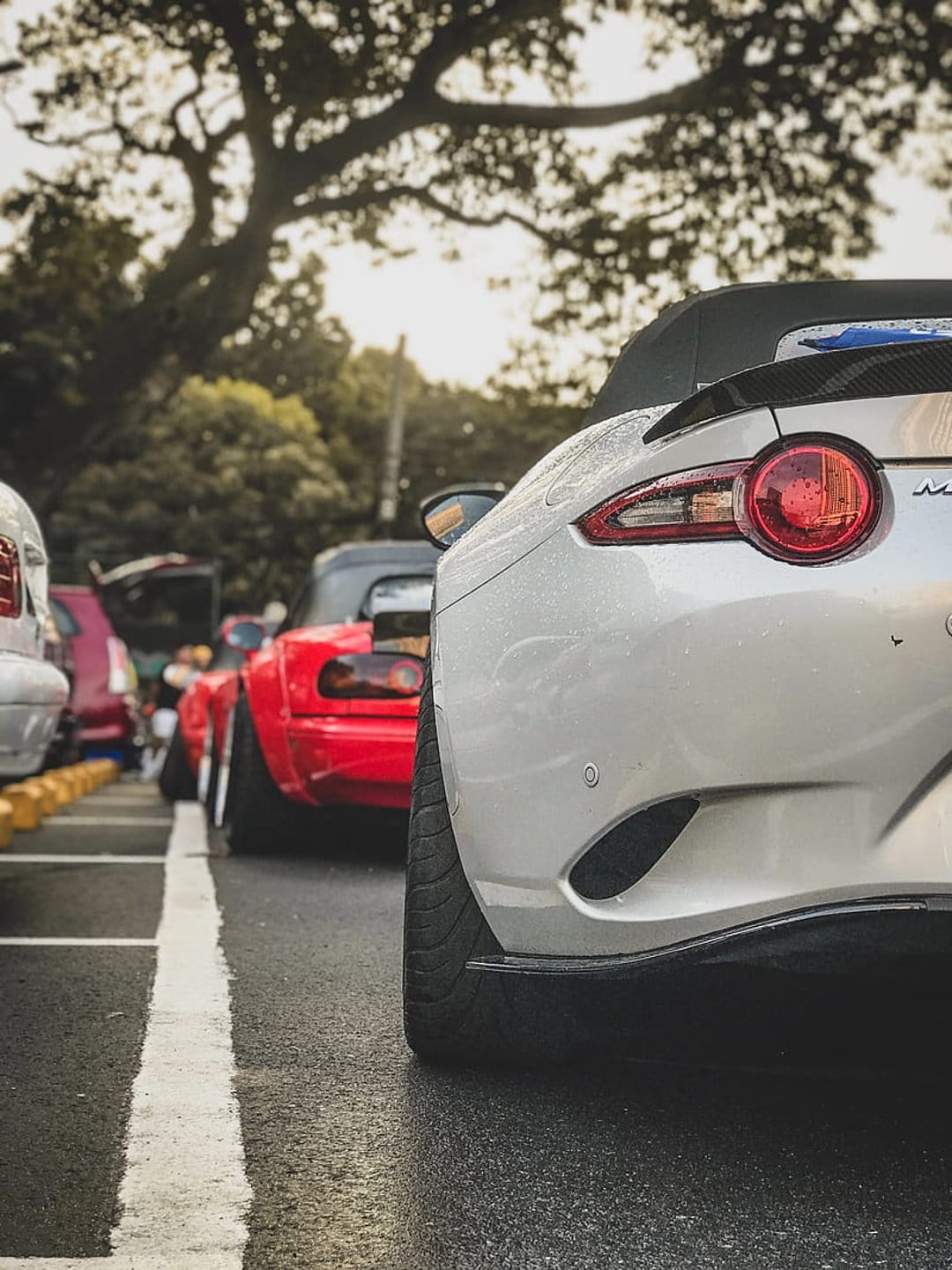 Silver convertible sports car rear taillight on wet asphalt with a red car and tree in the blurred background.