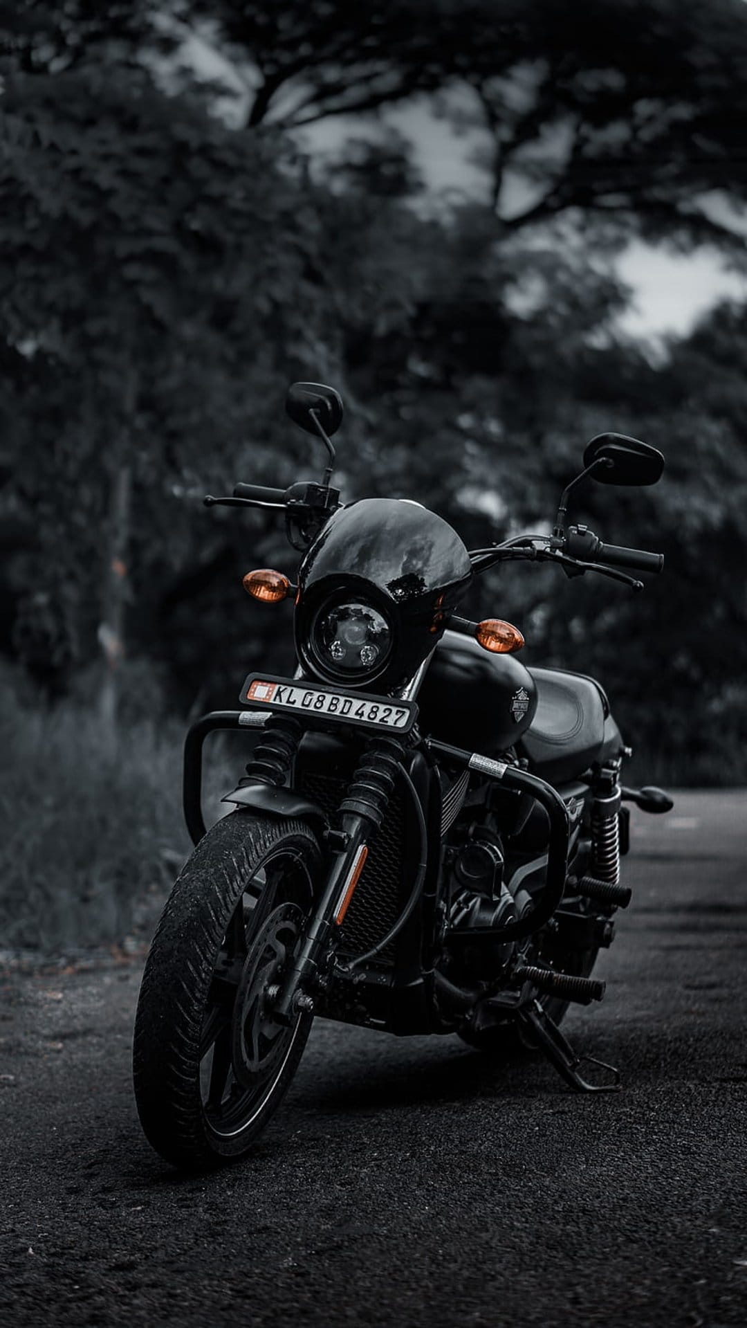 Black Harley-Davidson Street 750 with a round headlight parked on asphalt against blurred dark green trees.