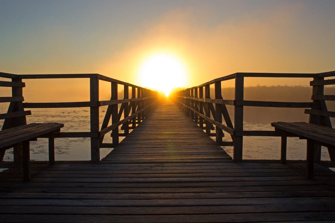 Wooden pier benches overlooking a misty lake at sunrise with a golden glow illuminating the morning fog and trees.