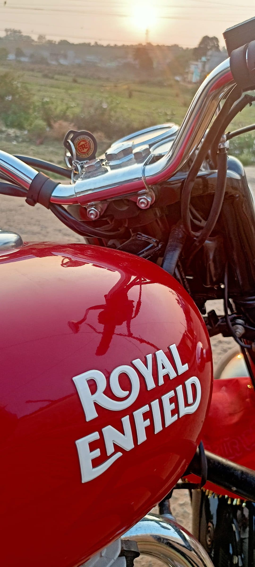 Red Royal Enfield motorcycle tank with white logo catches golden sunset light next to chrome handlebars.