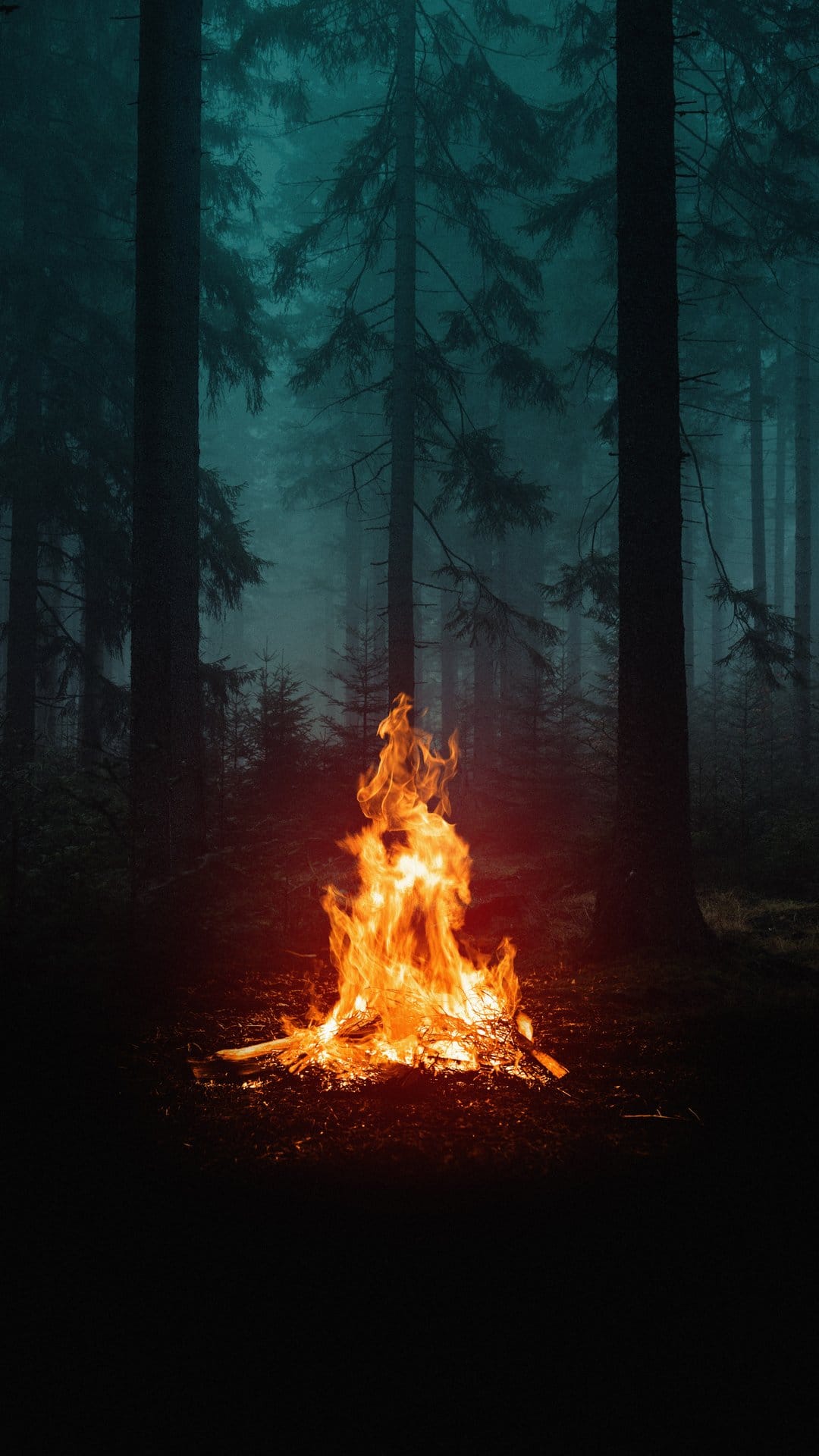Bright campfire flames glow against a backdrop of foggy pine trees and dark forest shadows at night.
