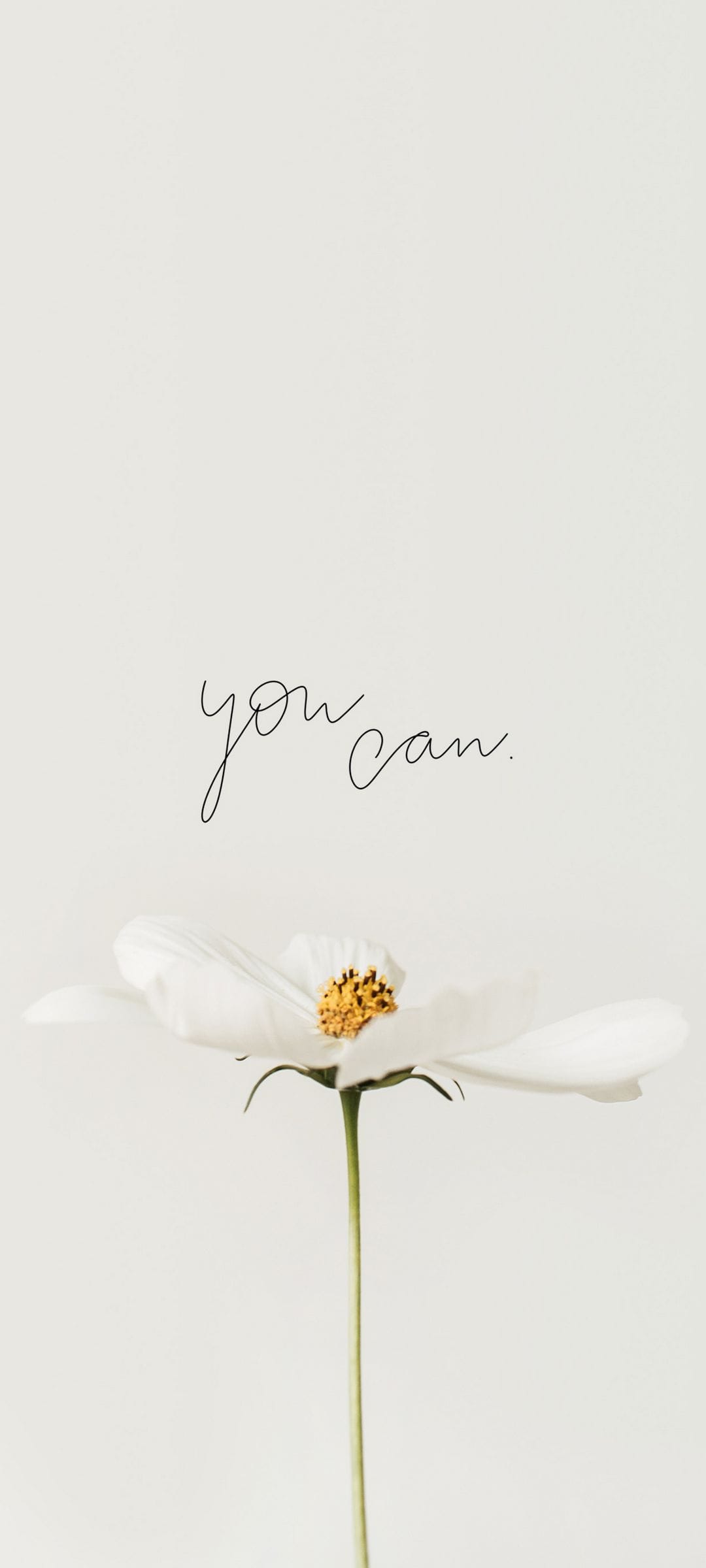 White flower with a yellow center below the black script phrase you can on a solid bright white background.
