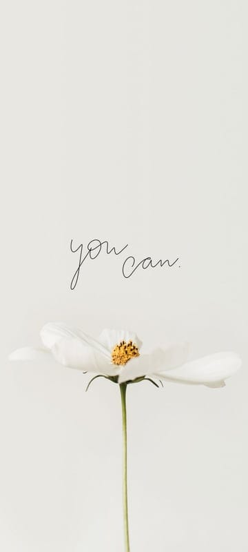quotes