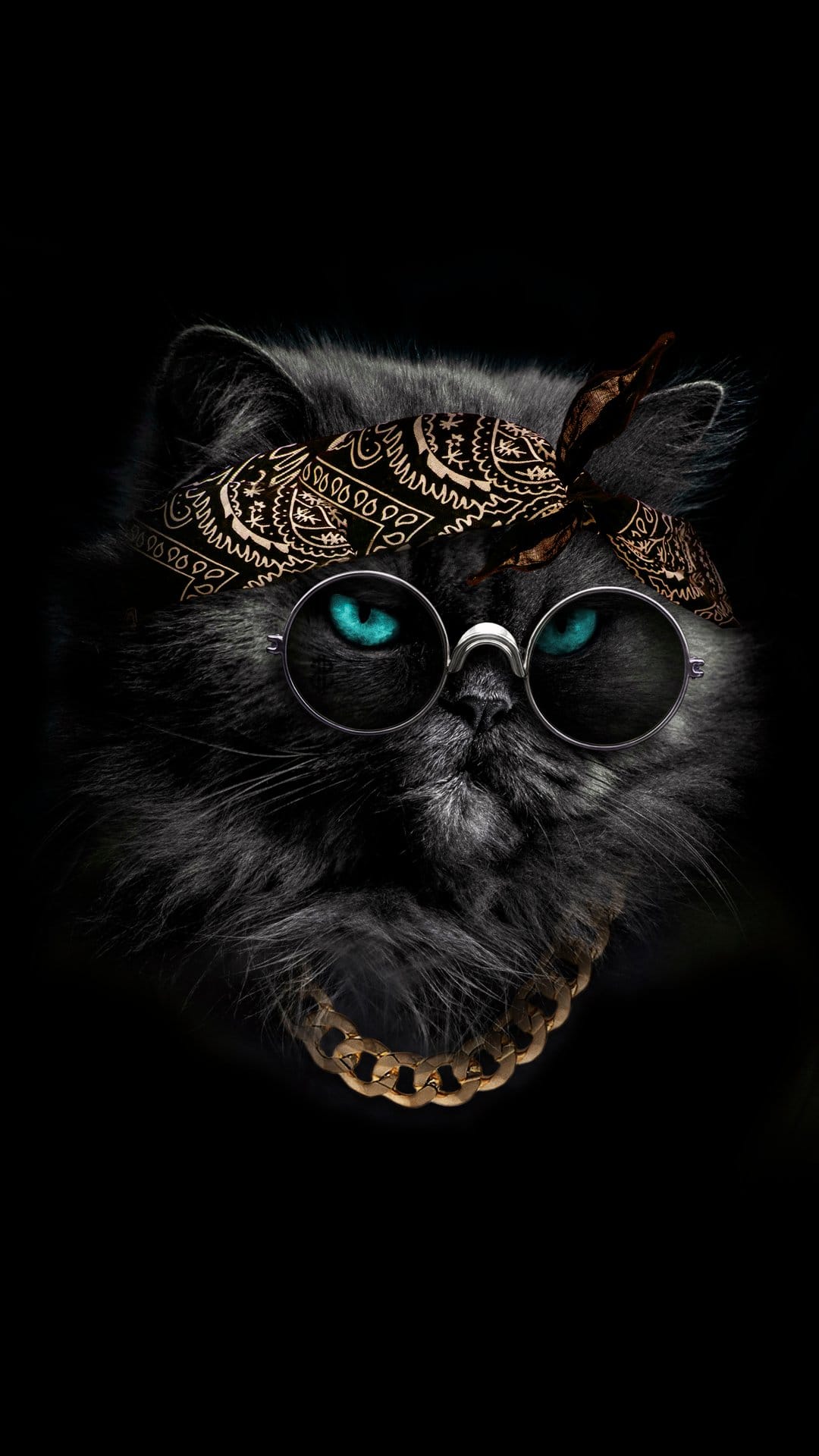 Black cat wearing round sunglasses, a patterned bandana, and a thick gold chain against a dark background.