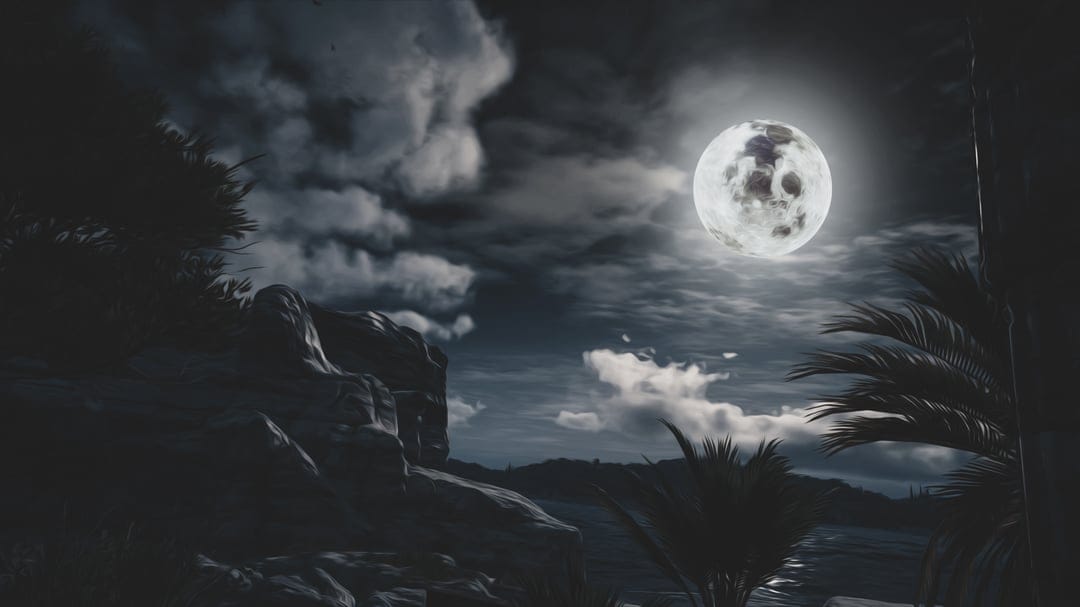 Full moon illuminating jagged seaside cliffs and palm leaf silhouettes against a moody, cloud-filled night sky.