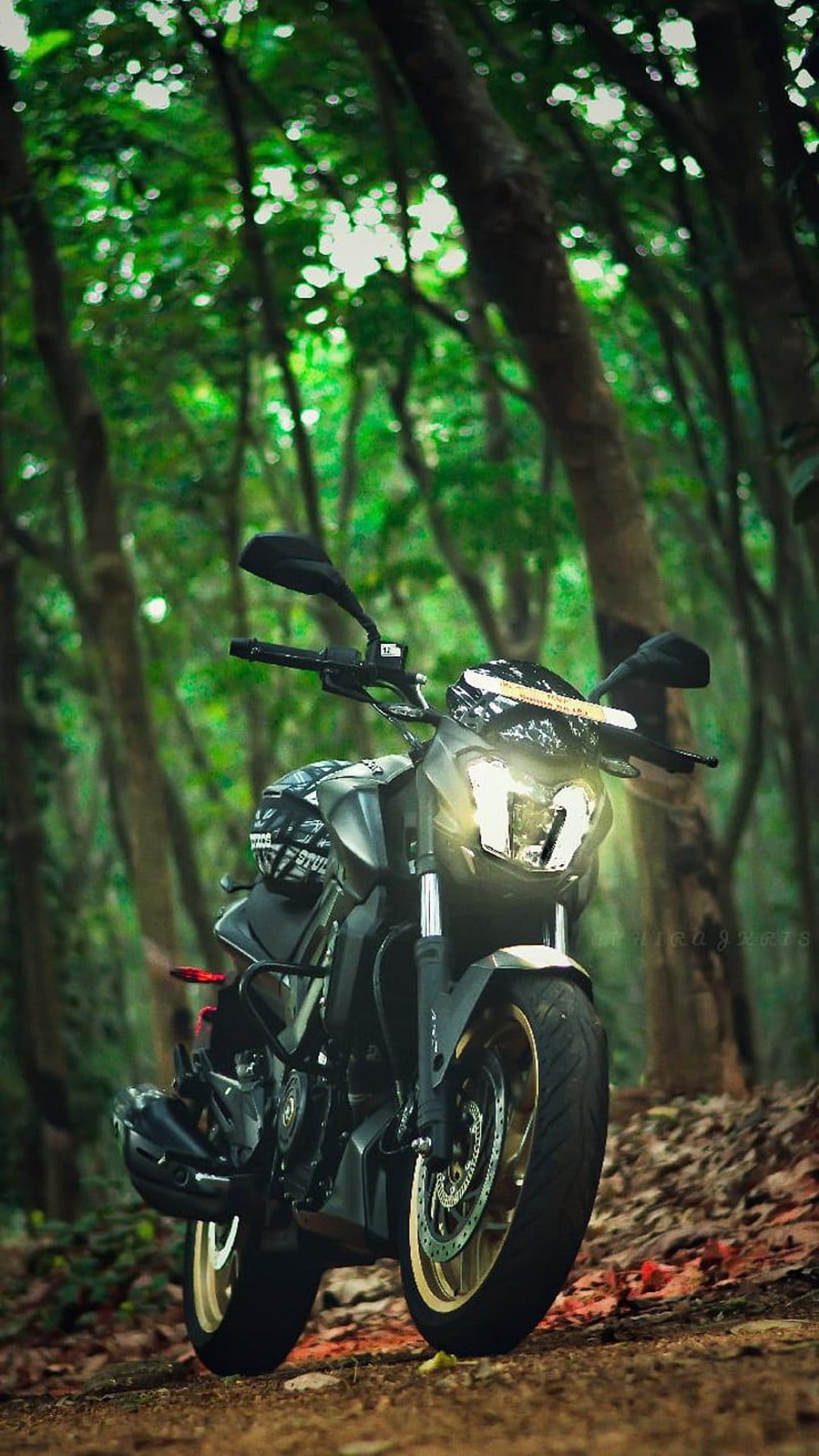 Dark motorcycle with glowing headlights parked on a green mossy forest floor surrounded by tall pine trees.