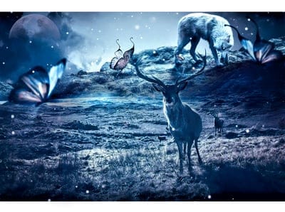 background,free background,laptop wallpaper,mac wallpaper,terror,fantasy,wolf,beautiful wallpaper,deer,4k wallpaper,nature,wallpaper 4k,4k wallpaper,butterfly,hd wallpaper,moon,windows wallpaper,free wallpaper,darkness,wallpaper hd