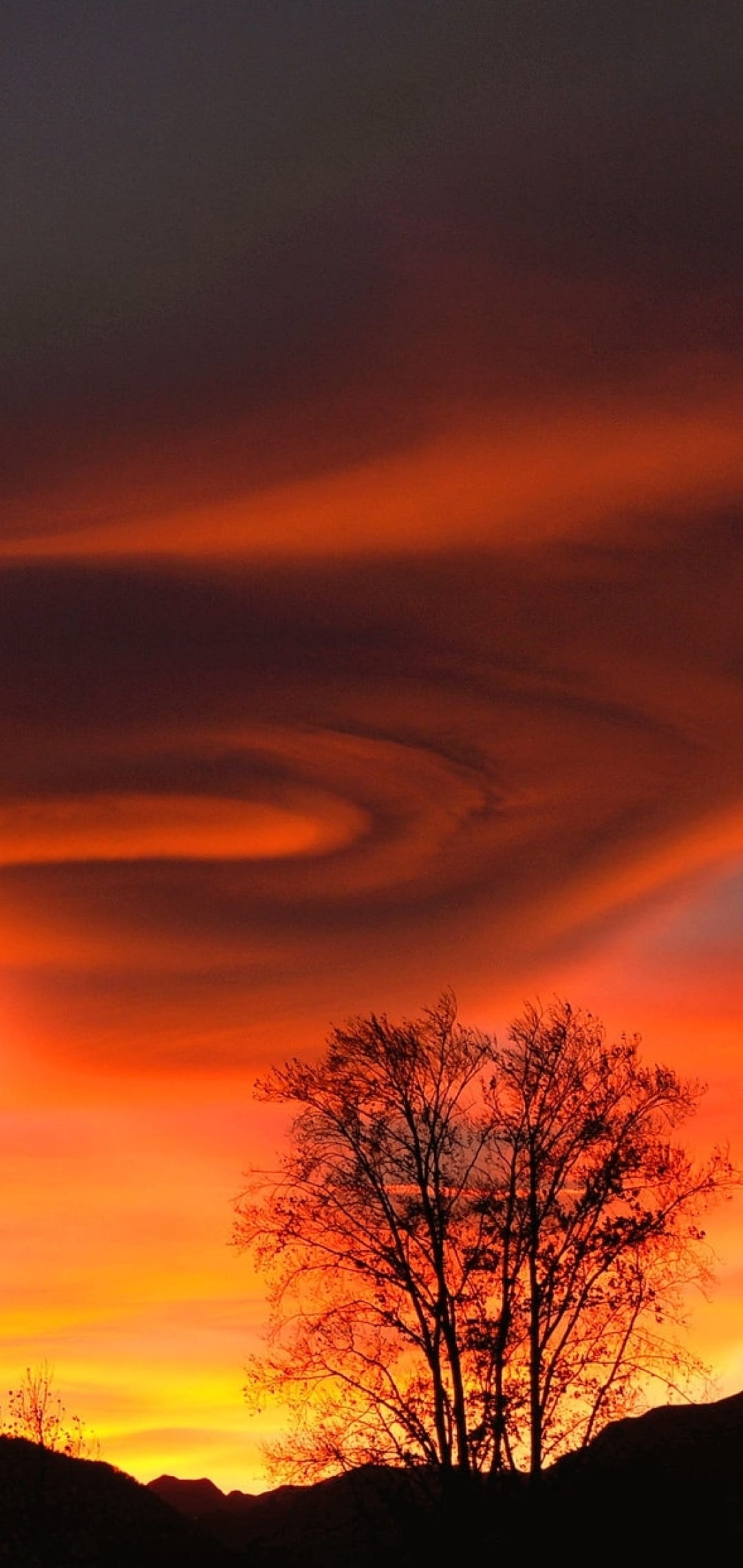 Black tree silhouettes stand against a fiery orange and purple sunset with swirling, dramatic cloud patterns.