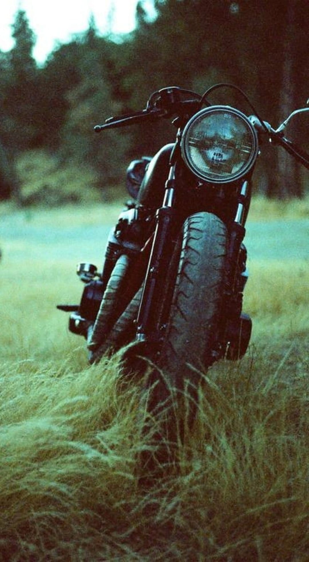 Vintage motorcycle headlight and tire close-up in a tall grass field under a soft twilight sky at dusk.